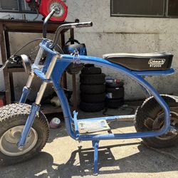 Mini Bikes 