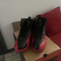 Retro Jordan 12 (Size 12) 