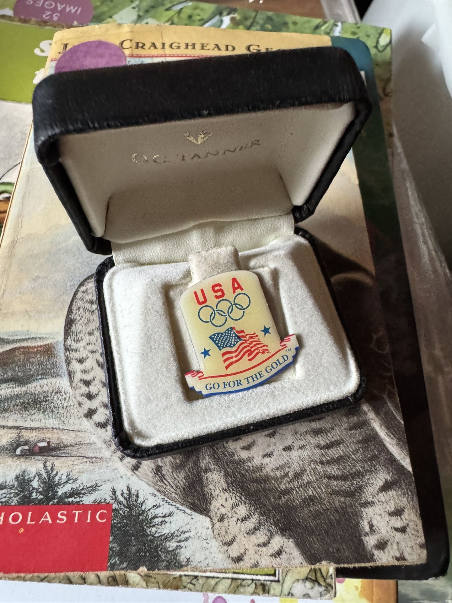 USA Go for the Gold Pin