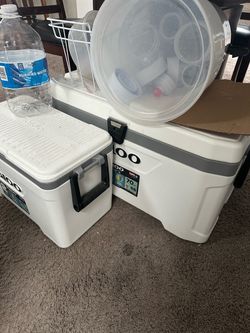 IGLOO COOLER 66L