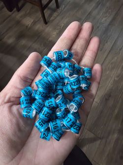 200 pcs pigeon feet rings / Pigeons/ Birds