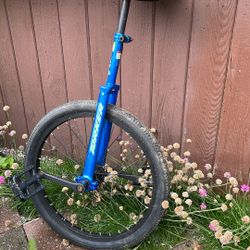 Unicycle