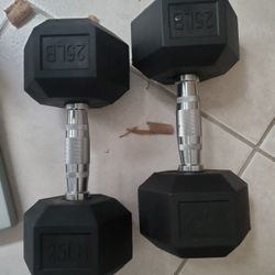2-25lb Dumbbells