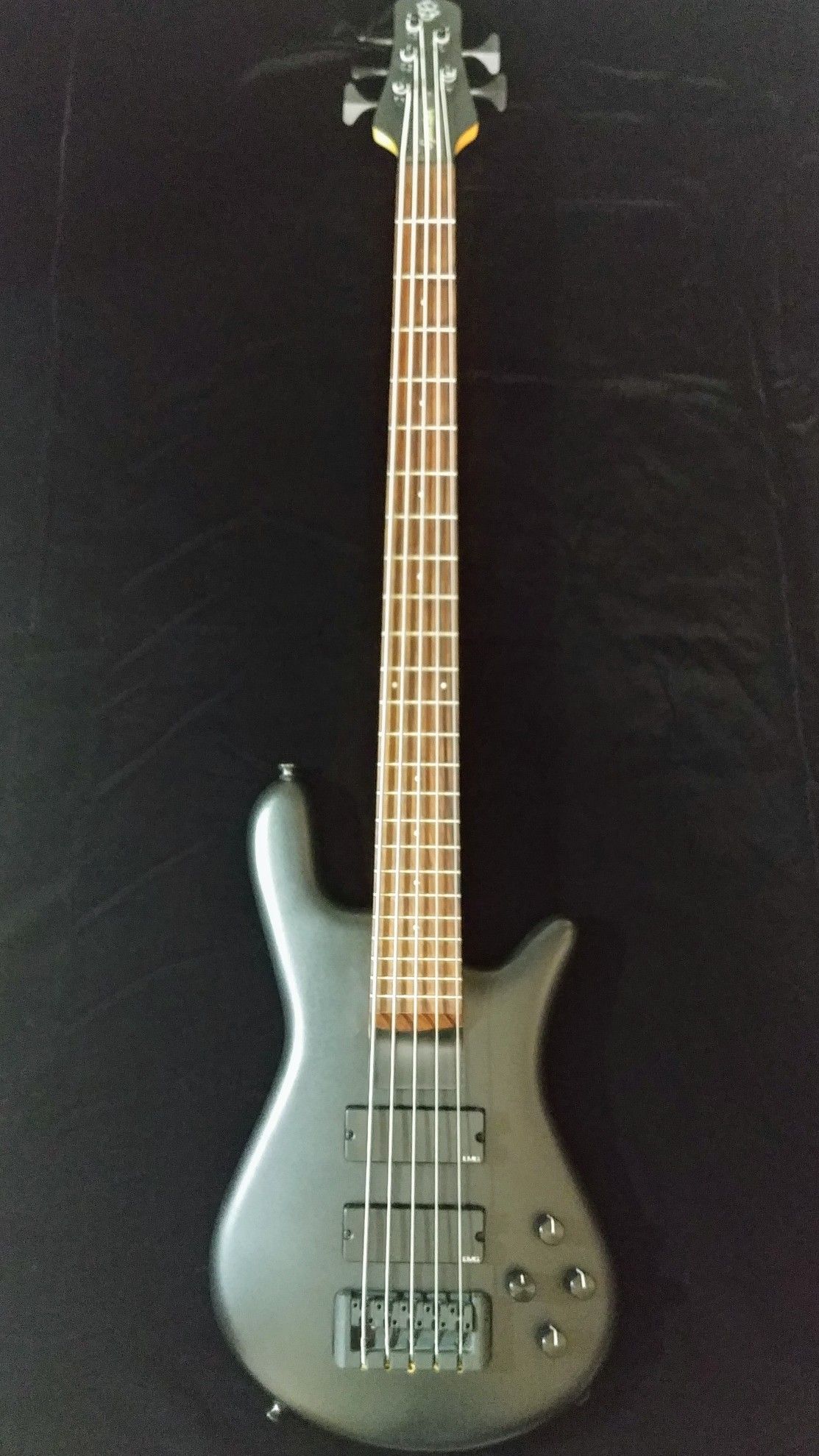 Spector Euro Rebop 5 string Bass