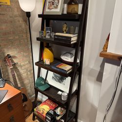 Ladder Bookshelf