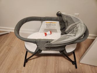 Baby Delight Travel Bouncer
