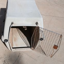 Dog Kennel