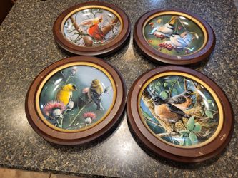 Round Bird Plates in Round Wood Frames set of 4