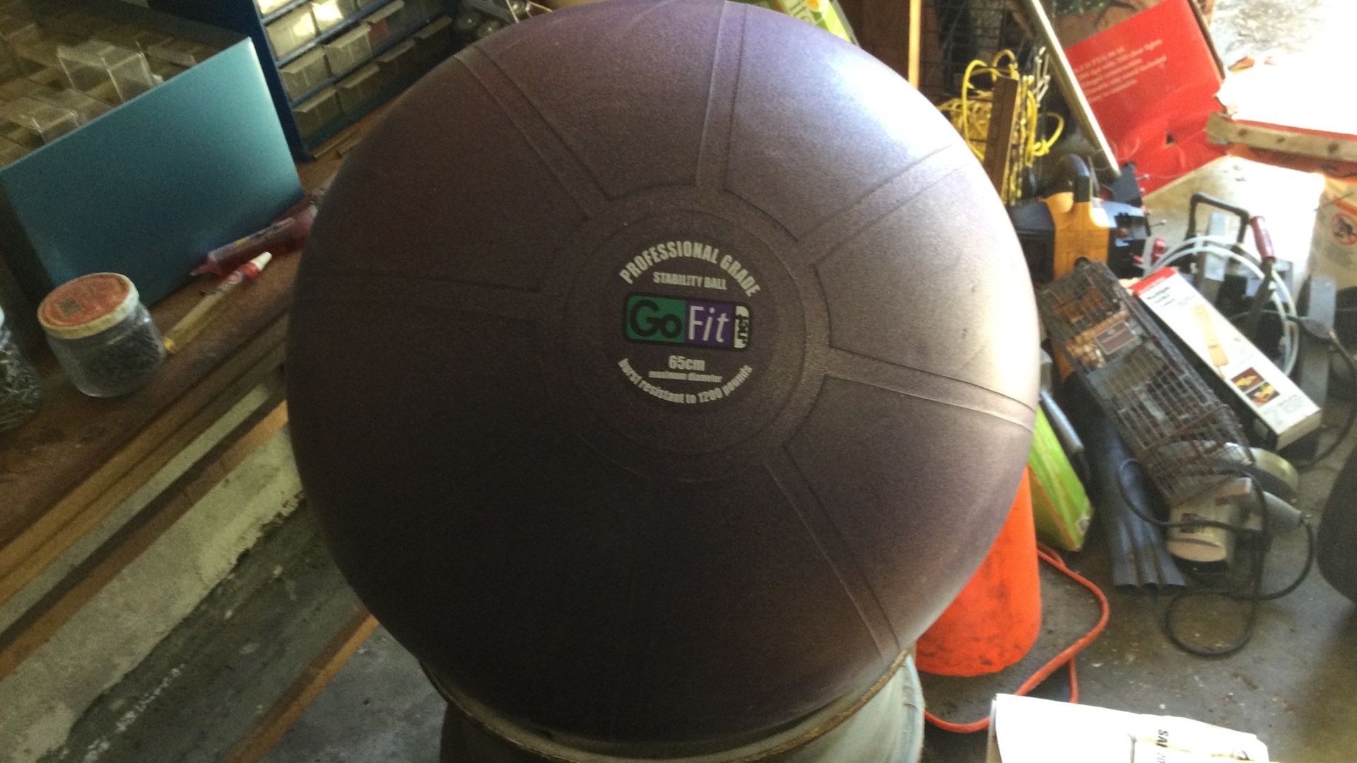 “Go Fit” 65 CM Exercise Ball (lots of uses) - $5!