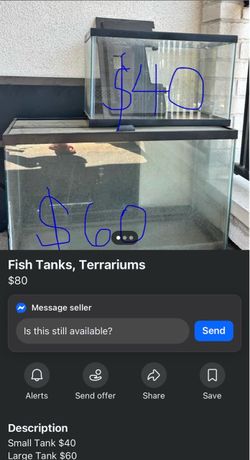 Fish Take / Terrariums for sale