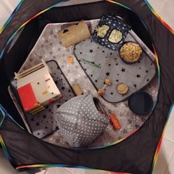 Guinea pig stuff