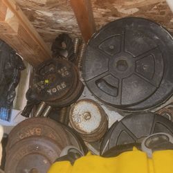 Selling Assortment Of Weights Can Sell Individual Have 5s All The Way To 45s