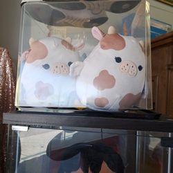 Smellow squish Cows