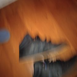 Adidas Barely Worn $10