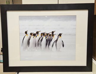 REALLY NICE Framed picture of Penguins