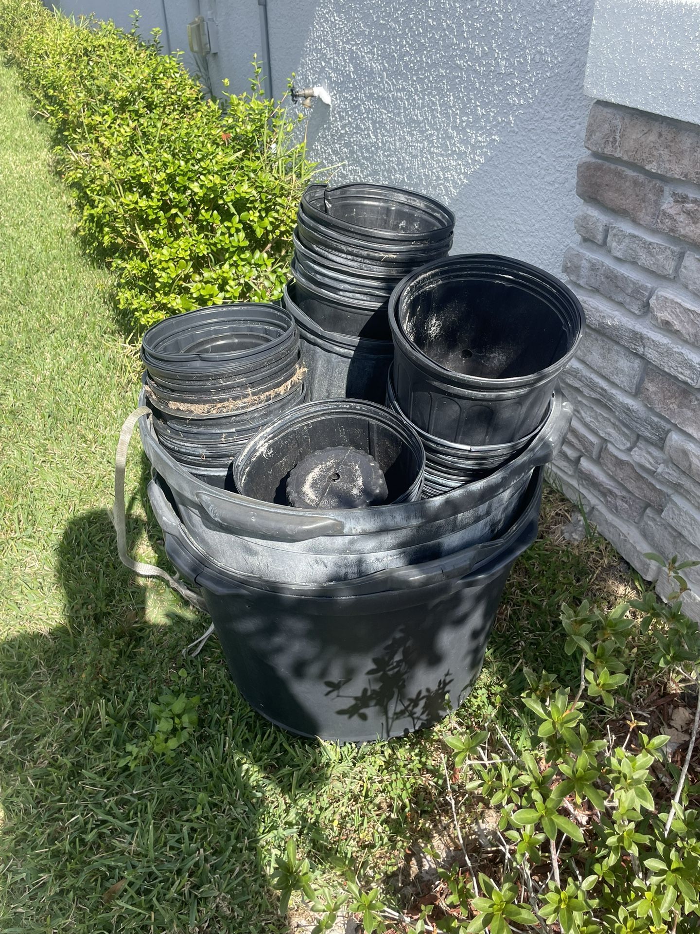 Plant Pots Large/small $50 all