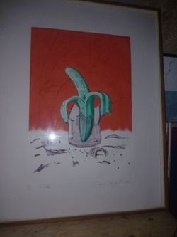 James rosenquist sighned