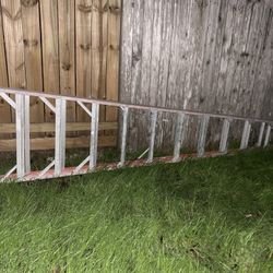 12 Ft Ladder 