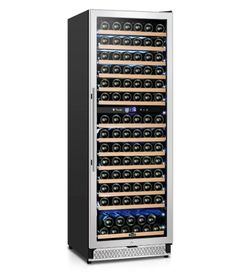 TYLZA 180-Bottle Dual-Zone Wine Fridge | 24” Stainless Steel