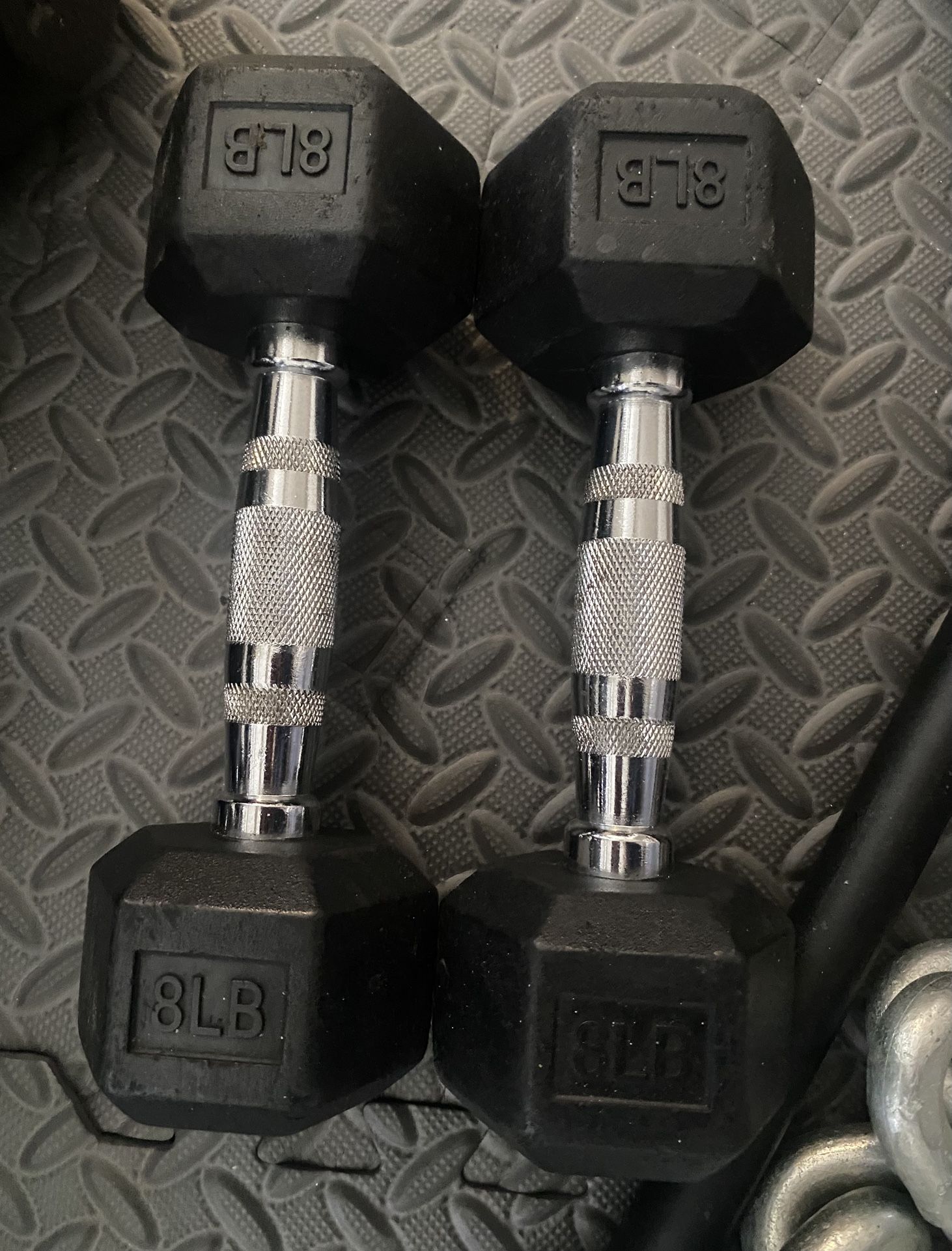 8lbs Dumbbell Set.