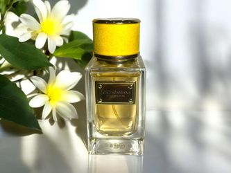 Dolce & Gabbana Velvet Ginestra 1.6 oz /50 ml Eau de Parfum Spray 