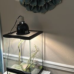 Terrarium 