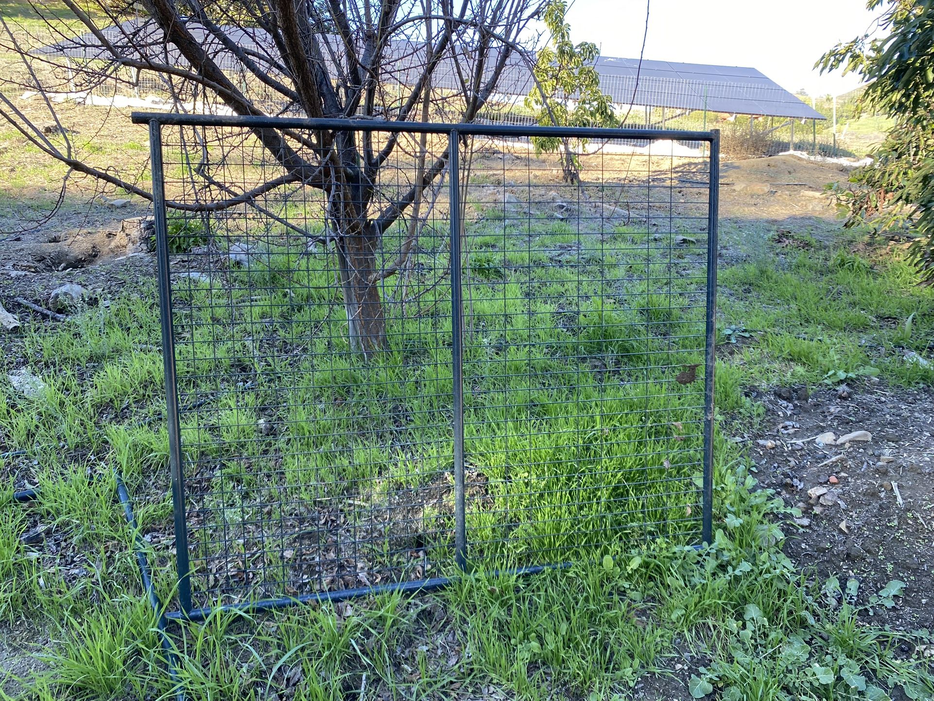 Kennel Panel 5 ft wide By 6 ft tall Dog Chicken Pet