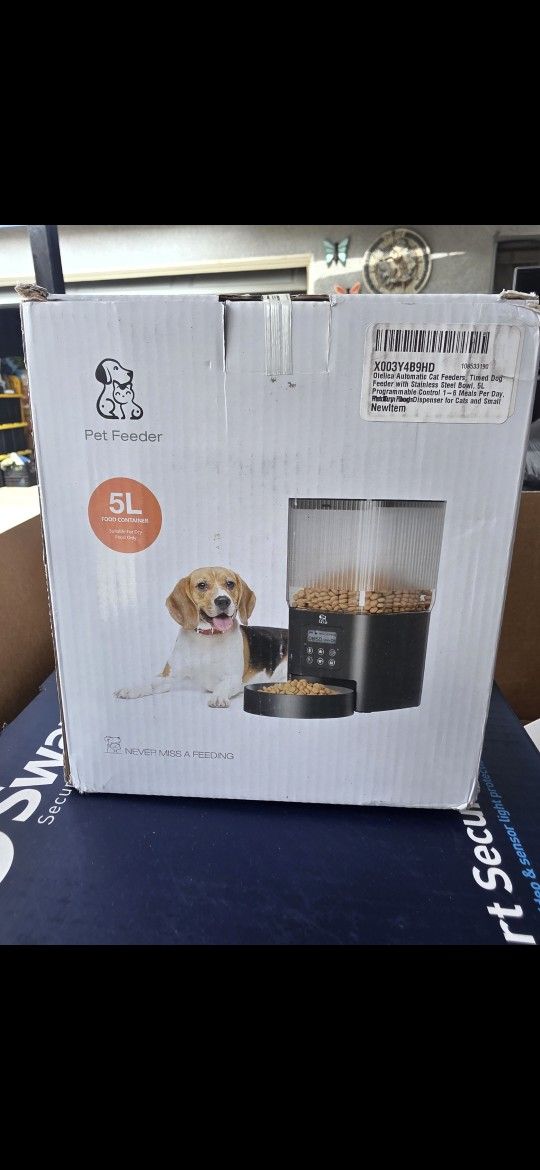 Dog Foos And Water Bowls