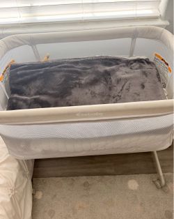 Bassinet