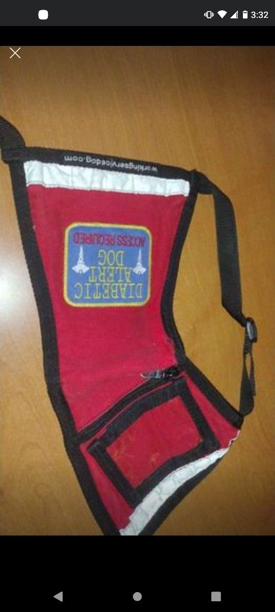 Vest
