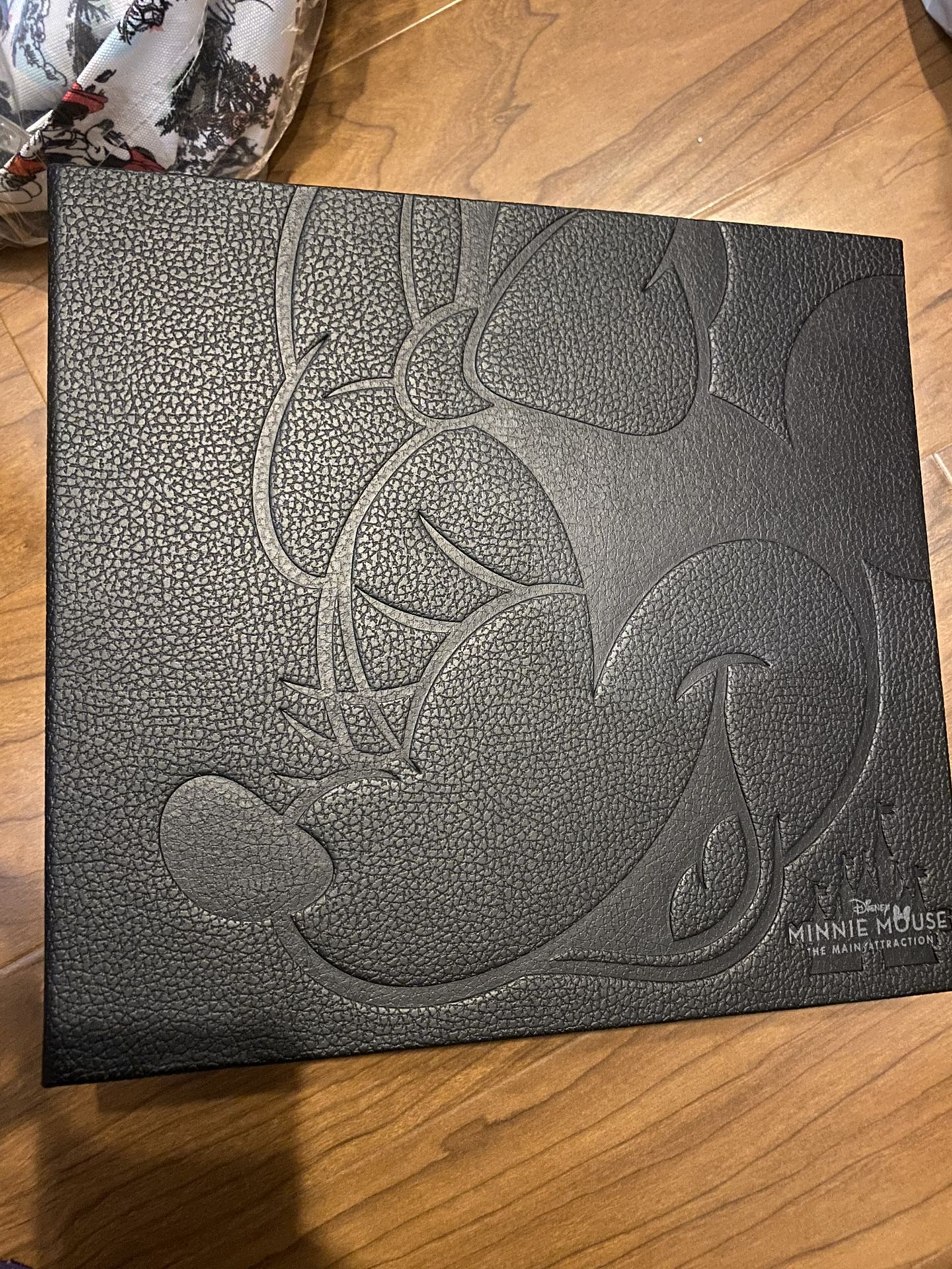 Disney Minnie Mouse Main Attraction Book Delivery No Pins Obo