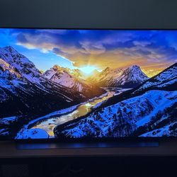 LG CX 55” OLED TV