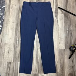 j crew ruby full length pants Sz 10