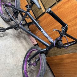Black/Purple Bike