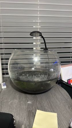 fish bowl with aqua soil with light