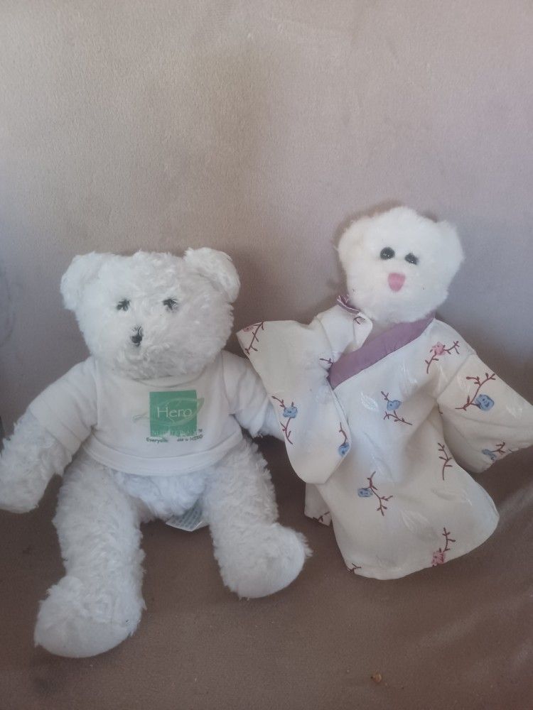 2 Plush Teddy Bears Both For $10