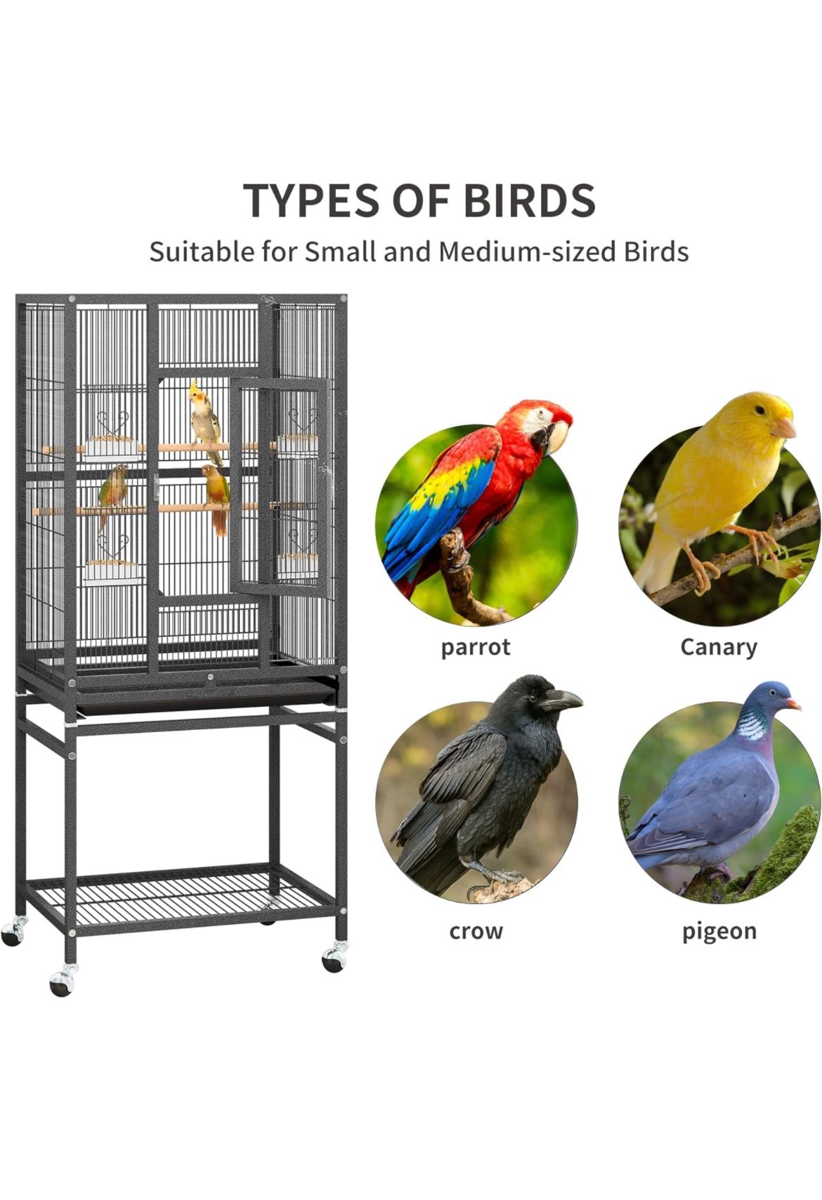 Bird Cage 53”