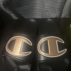 Champion slides 