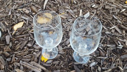 2 piece wedding Glass