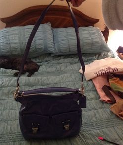 Cornflower blue patent leather coach purse.