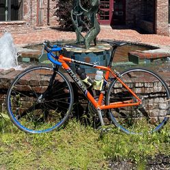 Trek 1000 Road Bike XS $400 OBO