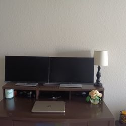 Computer Monitors $95 Each