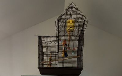 Cage