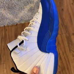 Blueberry Jordan 12s