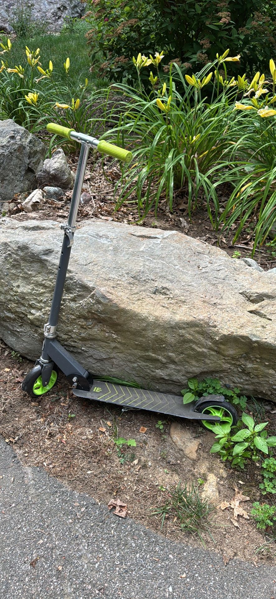 Razor Scooter