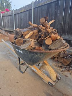 Bonfire Wood
