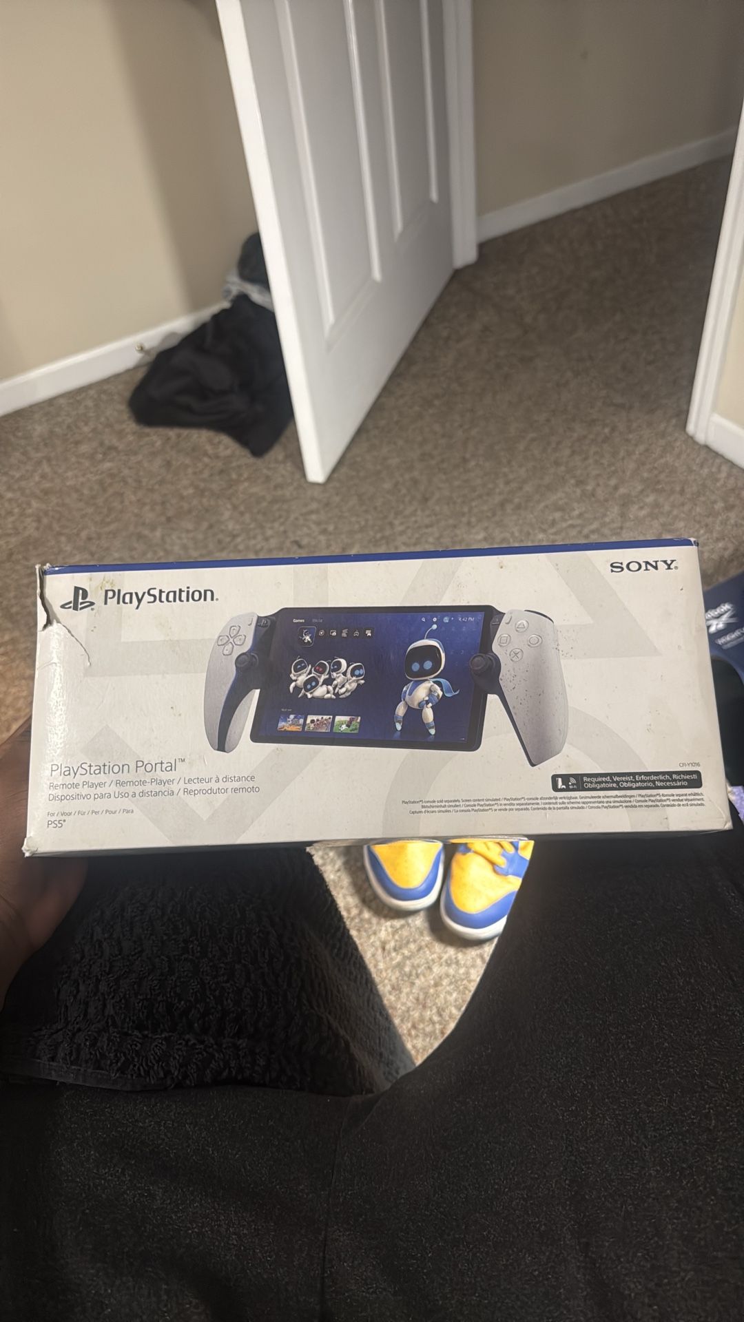 Playstation Portal