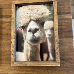 Rustic Farmhouse Framed Art – From a Local small business 