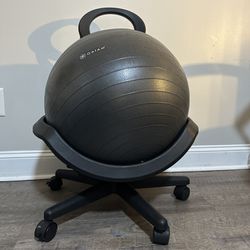 Balance Ball Chair