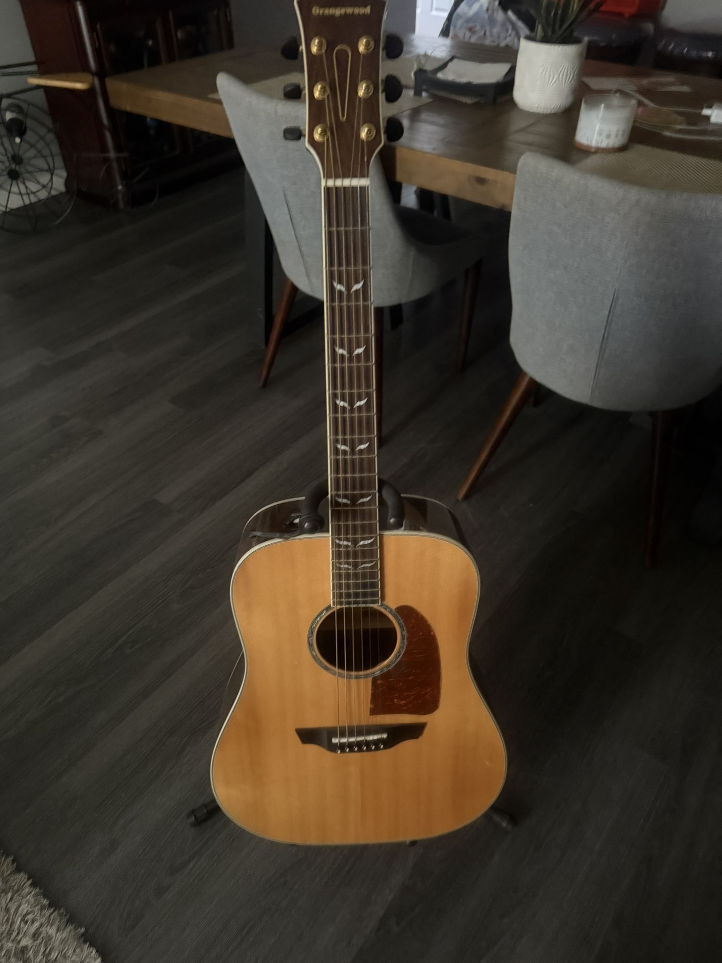 Orangewood Echo Acoustic Guitar